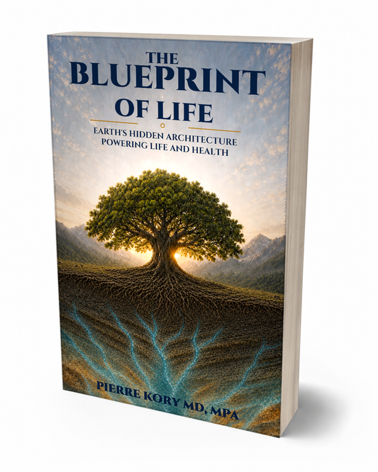 Paperback